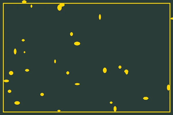 东升国际年度锦标赛